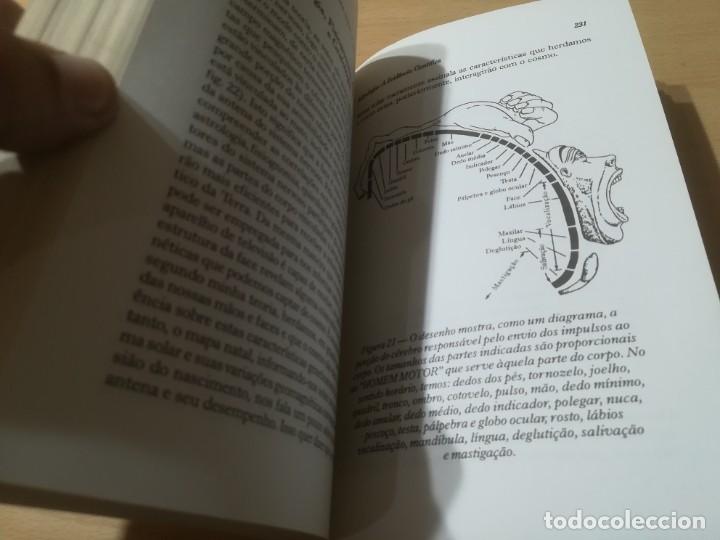 Libros de segunda mano: ASTROLOGIA A EVIDENCIA CIENTIFICA / PERCY SEYMOUR / NOVA ERA / AJ17 - Foto 12