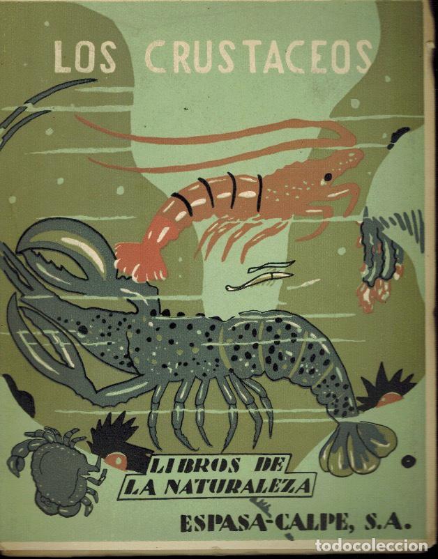 Libros de segunda mano: LOS CRUST&Aacute;CEOS - Foto 1