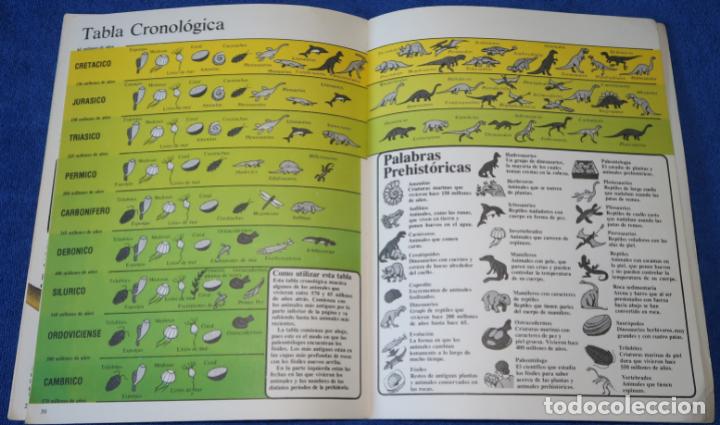 Libros de segunda mano: Dinosaurios - La Prehistoria ilustrada para ni&ntilde;os - PLESA - EDICIONES SM (1981) - Foto 5