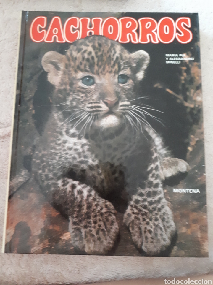 Libros de segunda mano: CACHORROS Maria Pia y Alessandro Minelli Ed. Montena - Foto 1