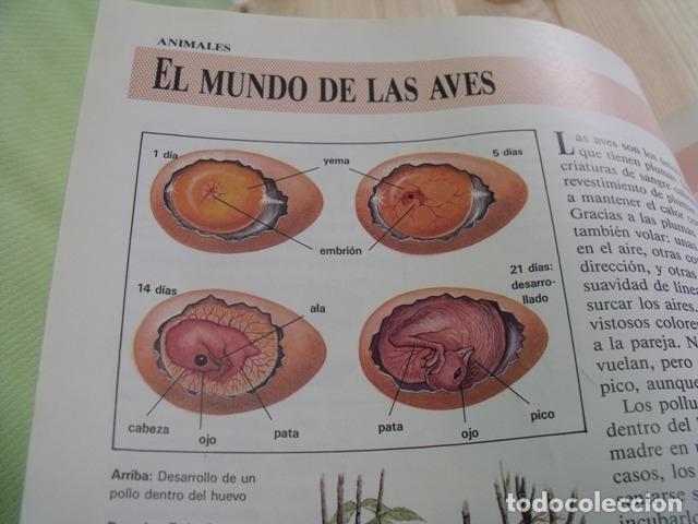 Libros de segunda mano: Libro Enciclopedia Visual de los Seres Vivos - El Pa&iacute;s - Altea - Foto 6