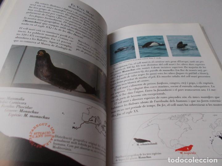 Libros de segunda mano: LES BALEARS ABANS DELS HUMANS - Foto 7