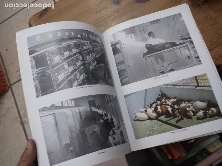 Libros de segunda mano: Laboratorios Made. ART.548-1039 - Foto 4