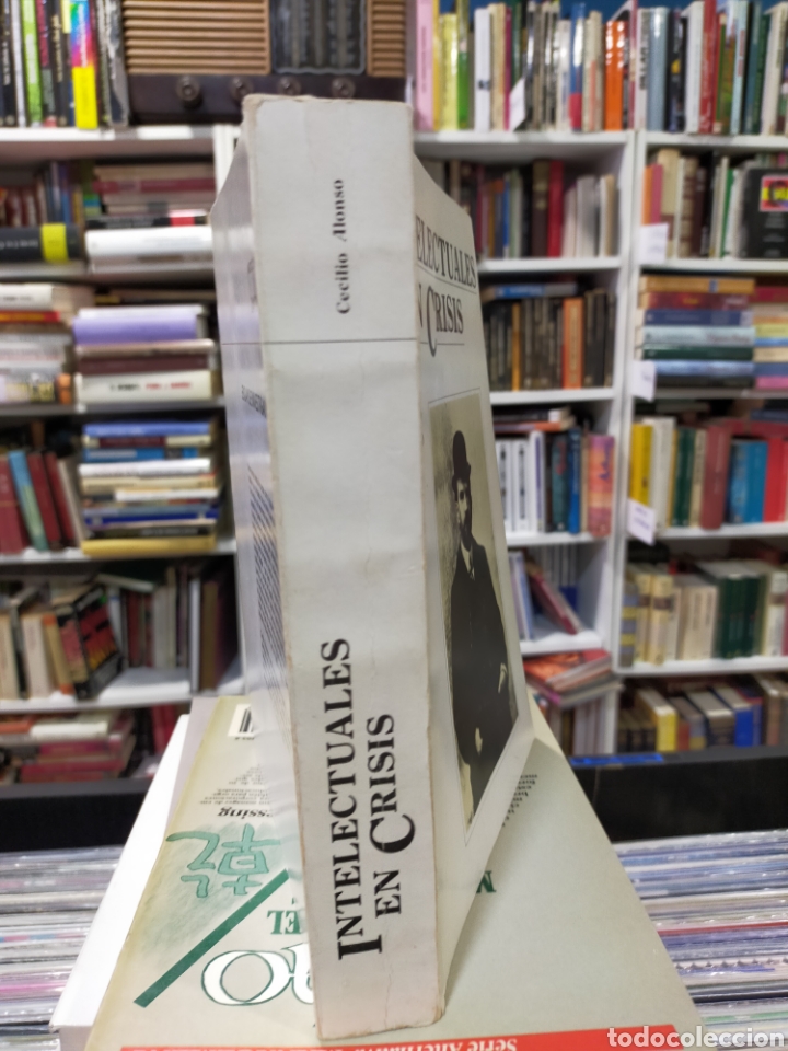 Libros de segunda mano: INTELECTUALES EN CRISIS - CECILIO ALONSO - Foto 3