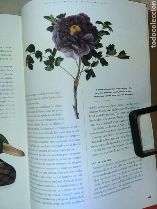 Libros de segunda mano: Feng Shui libro lujoso - Foto 4