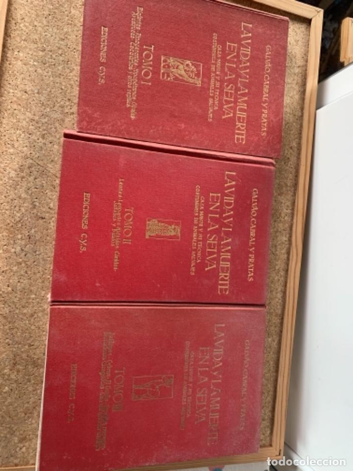 Libros de segunda mano: La vida y la muerte en la selva (CAJ 4) - Foto 2