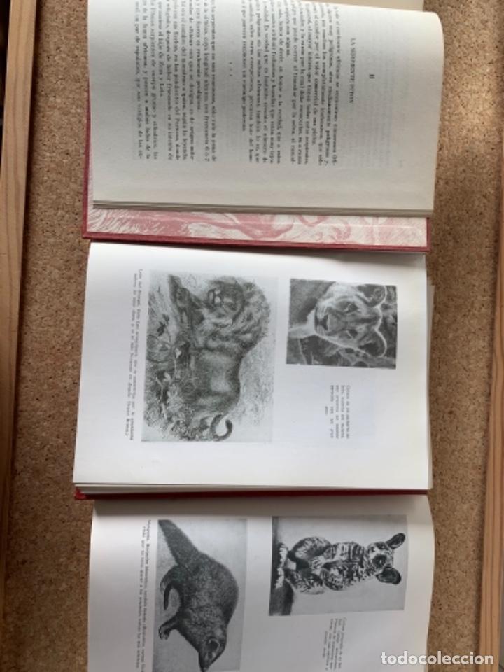 Libros de segunda mano: La vida y la muerte en la selva (CAJ 4) - Foto 3