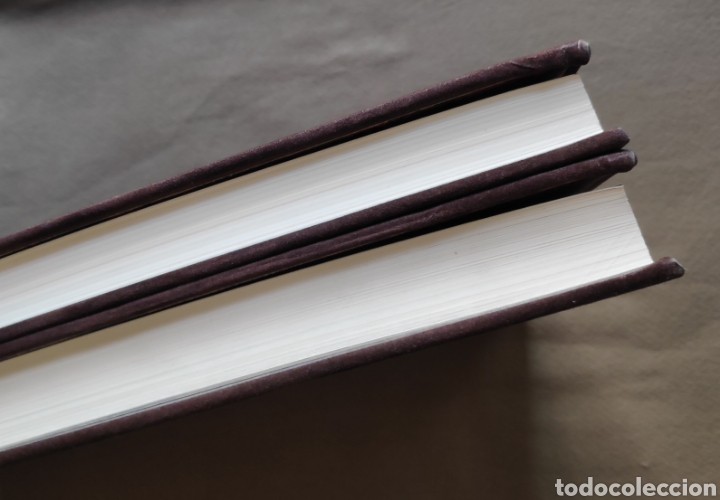 Libros de segunda mano: VEL&Aacute;ZQUEZ EDICI&Oacute;N BIBLI&Oacute;FILO TIRADA LIMITADA - Foto 13