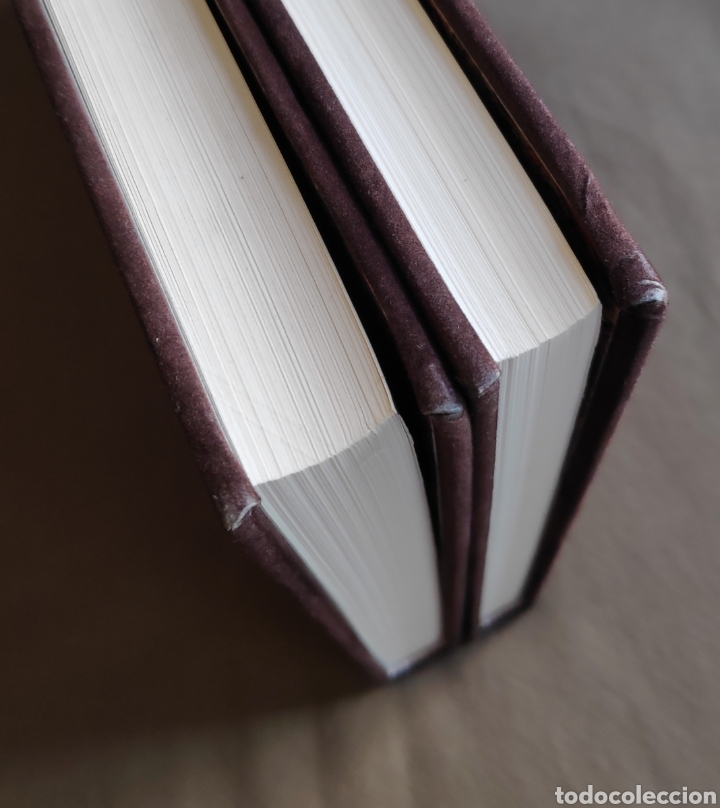 Libros de segunda mano: VEL&Aacute;ZQUEZ EDICI&Oacute;N BIBLI&Oacute;FILO TIRADA LIMITADA - Foto 14
