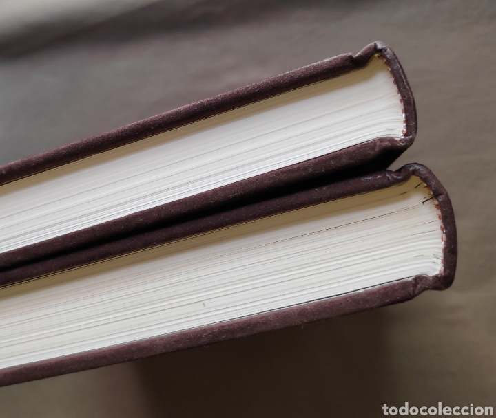 Libros de segunda mano: VEL&Aacute;ZQUEZ EDICI&Oacute;N BIBLI&Oacute;FILO TIRADA LIMITADA - Foto 15