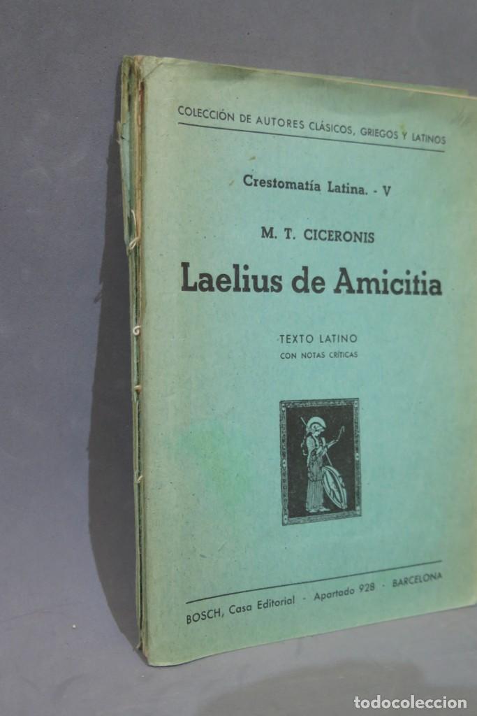 Libros de segunda mano: LAEILUS DE AMICTICIA. CICERON - Foto 2