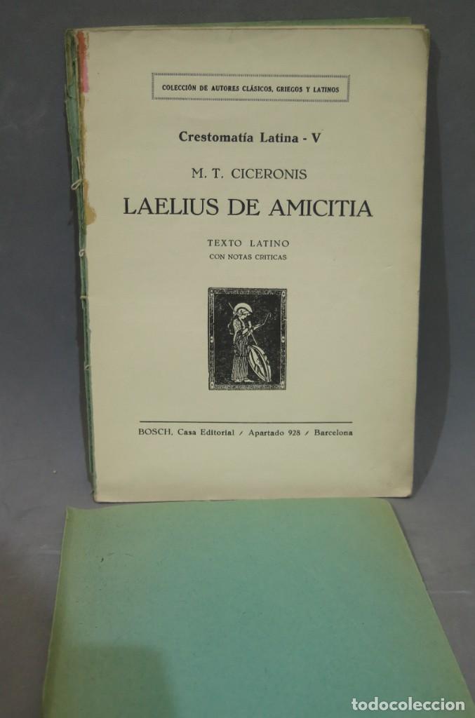 Libros de segunda mano: LAEILUS DE AMICTICIA. CICERON - Foto 3