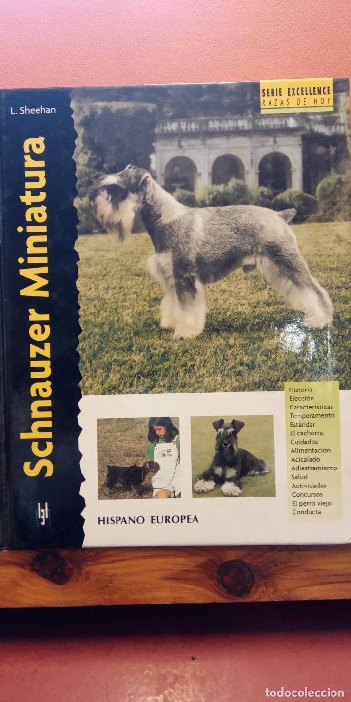 Libros de segunda mano: SCHNAUZER MINIATURA. L. SHEEHAN. EDITORIAL HISPANO EUROPEA - Foto 1