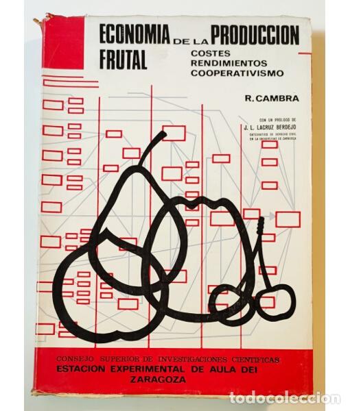 Libros de segunda mano: ECONOM&Iacute;A DE LA PRODUCCI&Oacute;N FRUTAL: COSTES, RENDIMIENTOS, COOPERATIVISMO. CAMBRA, R. CSIC. 1966.
