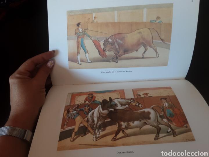 Libros de segunda mano: Los toros. Perea ediciones ilustrativas. - Foto 7