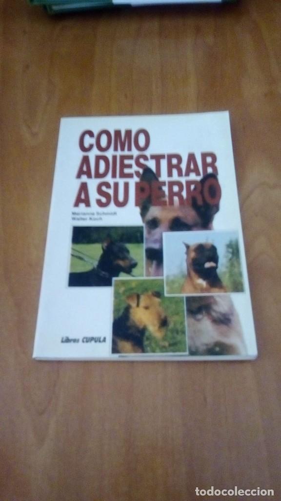 Libros de segunda mano: C&oacute;mo adiestrar a su perro - SCHMIDT, Marianne y KOCH, Walter - Foto 1