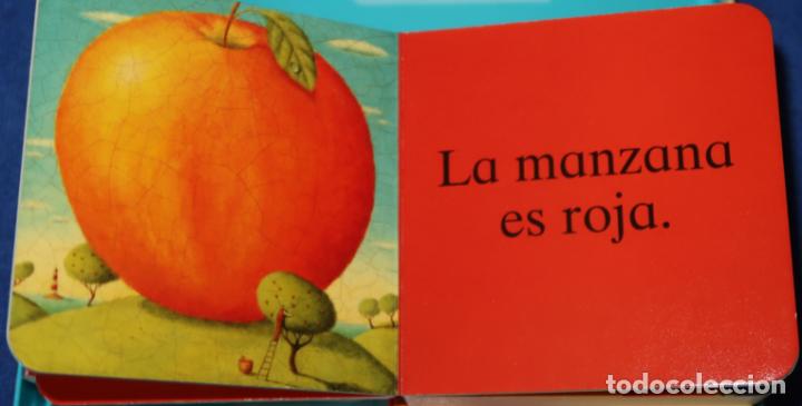Libros de segunda mano: Primeras preguntas - Alison Jay - Edelvives (2009) - Foto 3