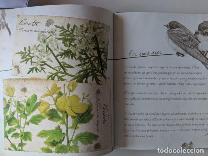 Libros de segunda mano: COMPENDIO DE HERBAS MAXICAS - COMPENDIO DE HIERBAS MAGICAS - MONTSE RUBIO - RARISIMO - Foto 4