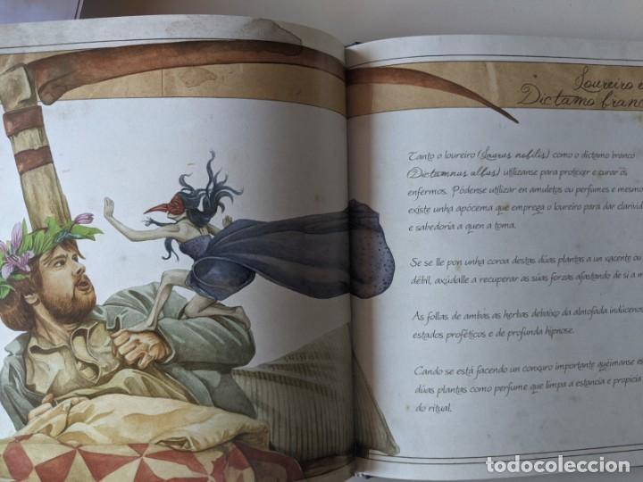 Libros de segunda mano: COMPENDIO DE HERBAS MAXICAS - COMPENDIO DE HIERBAS MAGICAS - MONTSE RUBIO - RARISIMO - Foto 5