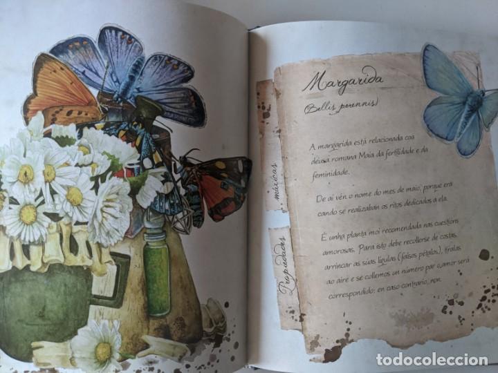 Libros de segunda mano: COMPENDIO DE HERBAS MAXICAS - COMPENDIO DE HIERBAS MAGICAS - MONTSE RUBIO - RARISIMO - Foto 6