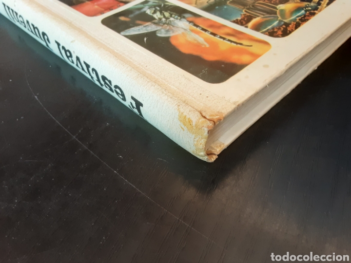 Libros de segunda mano: Festival juvenil. Selecciones del Readers Digest - Foto 7