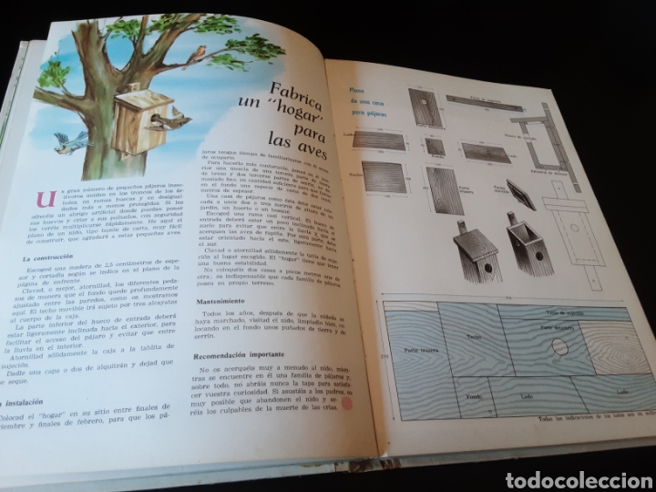 Libros de segunda mano: Festival juvenil. Selecciones del Readers Digest - Foto 12