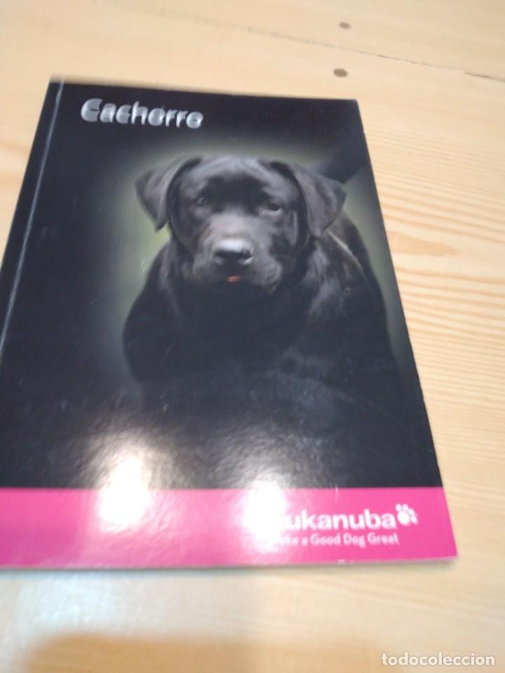 Libros de segunda mano: C-19 LIBRO CACHORRO EUKANUBA - Foto 1