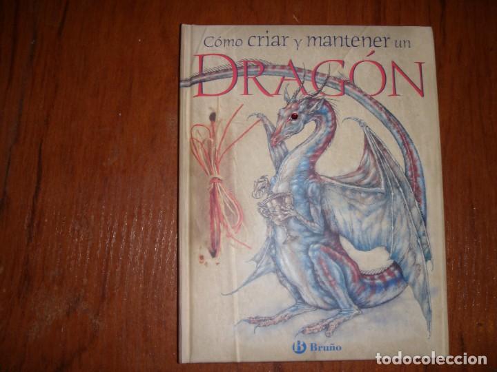 Libros de segunda mano: LIBRO COMO CRIAR Y MATENER UN DRAG&Oacute;N ED BRU&Ntilde;O - Foto 1