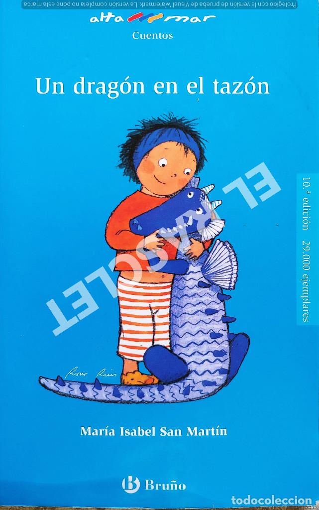 Libros de segunda mano: UN DRAG&Oacute;N EN EL TAZ&Oacute;N - MARIA ISABEL SAN MARTIN - EDICIONES BRU&Ntilde;O - Foto 1