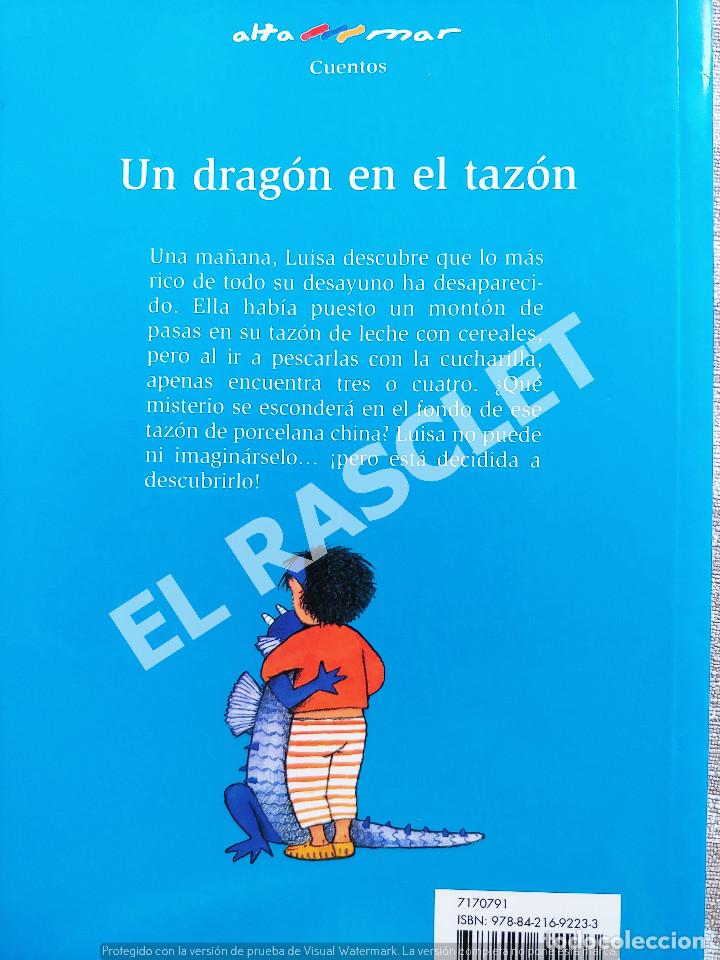 Libros de segunda mano: UN DRAG&Oacute;N EN EL TAZ&Oacute;N - MARIA ISABEL SAN MARTIN - EDICIONES BRU&Ntilde;O - Foto 6