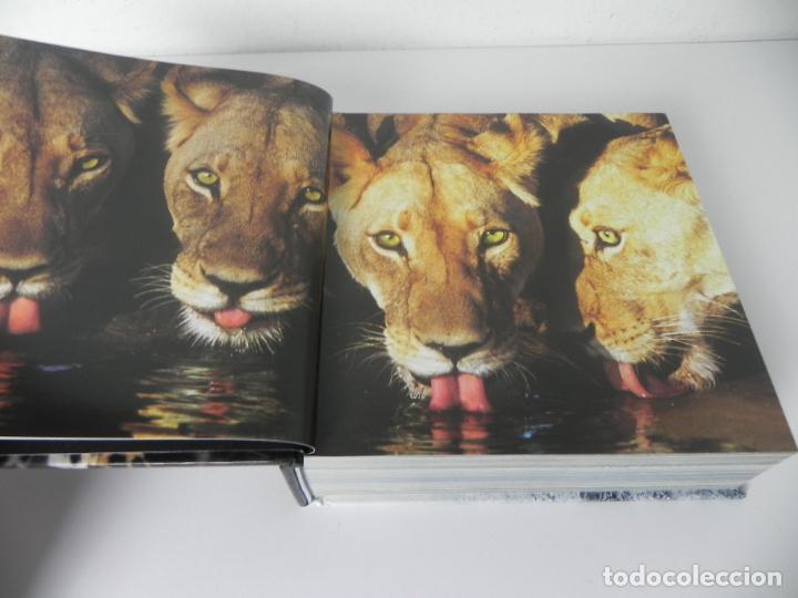 Libros de segunda mano: ANIMALES SALVAJES (CUBE BOOK) EDICIONES LU - Foto 3