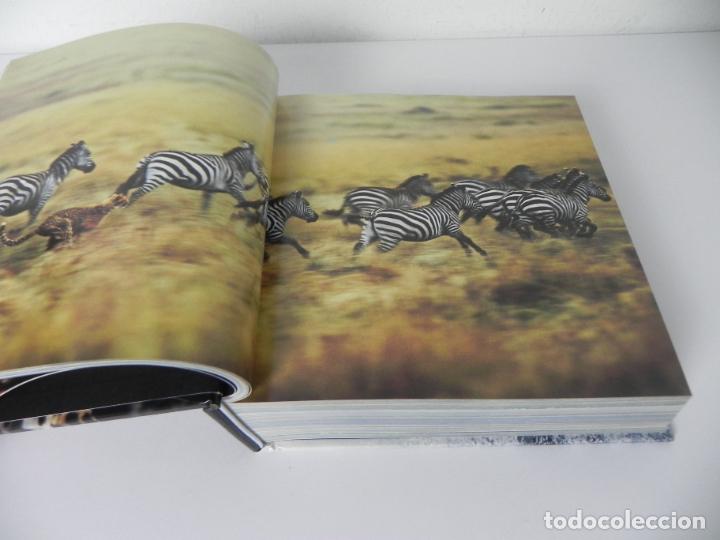 Libros de segunda mano: ANIMALES SALVAJES (CUBE BOOK) EDICIONES LU - Foto 4