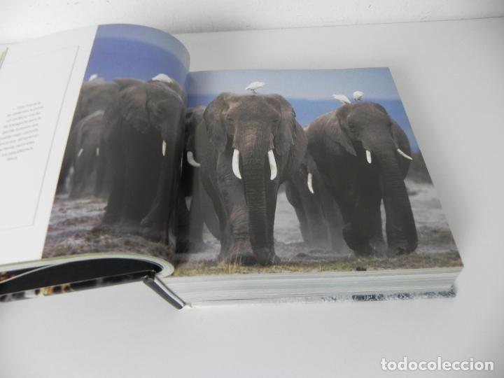Libros de segunda mano: ANIMALES SALVAJES (CUBE BOOK) EDICIONES LU - Foto 5