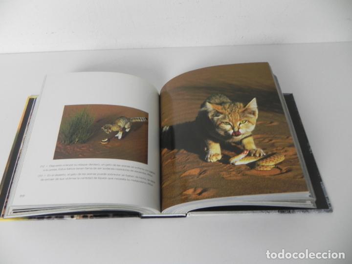 Libros de segunda mano: ANIMALES SALVAJES (CUBE BOOK) EDICIONES LU - Foto 6