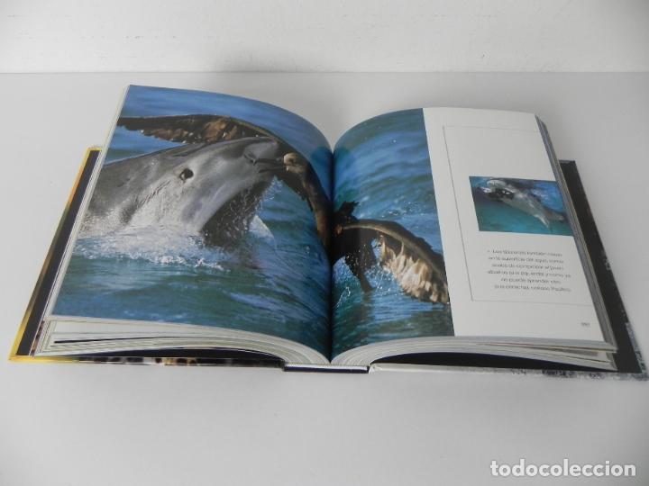 Libros de segunda mano: ANIMALES SALVAJES (CUBE BOOK) EDICIONES LU - Foto 7