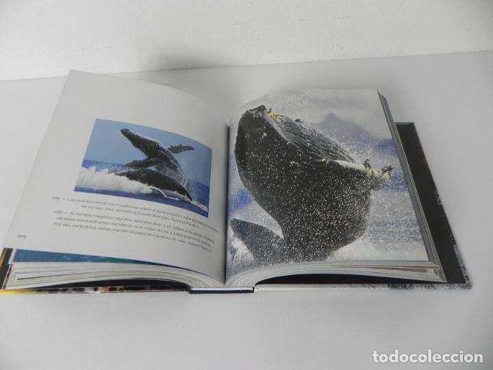 Libros de segunda mano: ANIMALES SALVAJES (CUBE BOOK) EDICIONES LU - Foto 8