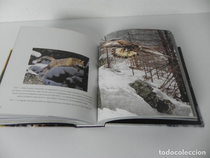 Libros de segunda mano: ANIMALES SALVAJES (CUBE BOOK) EDICIONES LU - Foto 10
