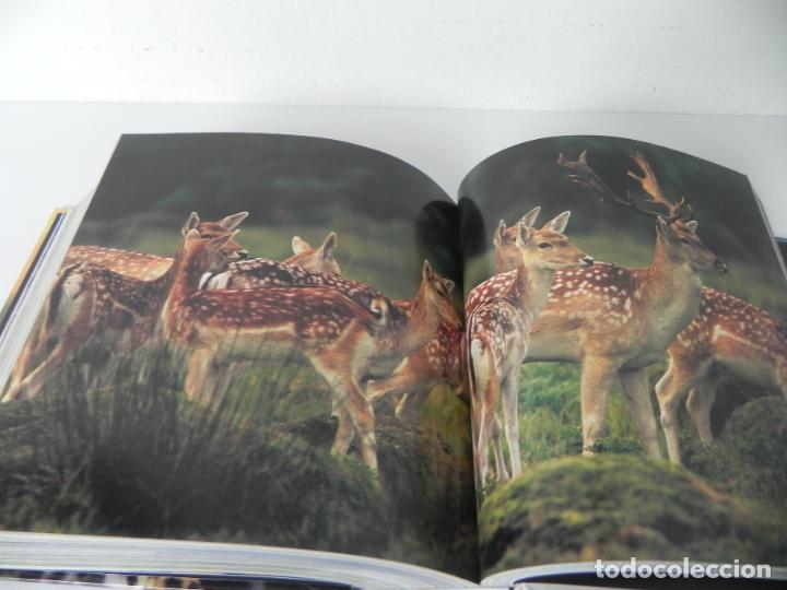 Libros de segunda mano: ANIMALES SALVAJES (CUBE BOOK) EDICIONES LU - Foto 11