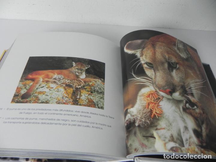 Libros de segunda mano: ANIMALES SALVAJES (CUBE BOOK) EDICIONES LU - Foto 12
