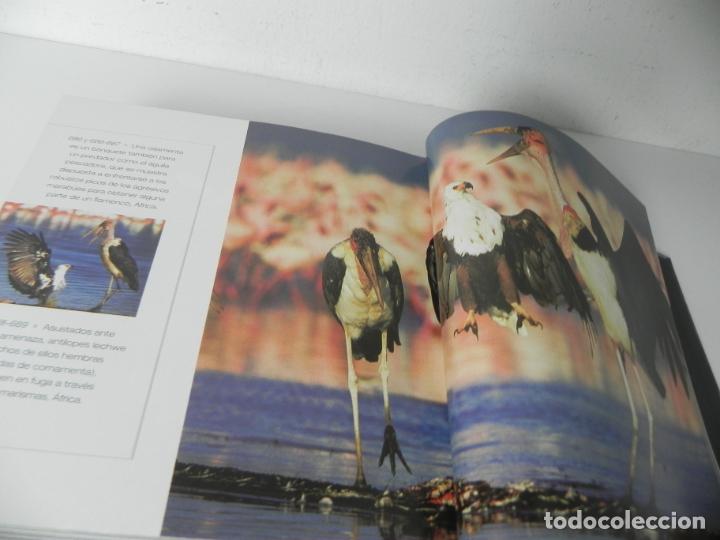 Libros de segunda mano: ANIMALES SALVAJES (CUBE BOOK) EDICIONES LU - Foto 13