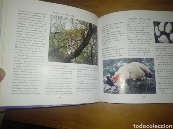 Libros de segunda mano: Fen&oacute;menos extra&ntilde;os.... - Foto 3