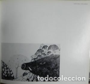 Libros de segunda mano: Caleidoscopio graficos 4-JOAN PERUCHO - PERUCHO, JUAN - Foto 7