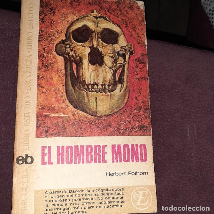 Libros de segunda mano: EL HOMBRE MONO. BRUGUERA. HERBERT POTHORN - Foto 1