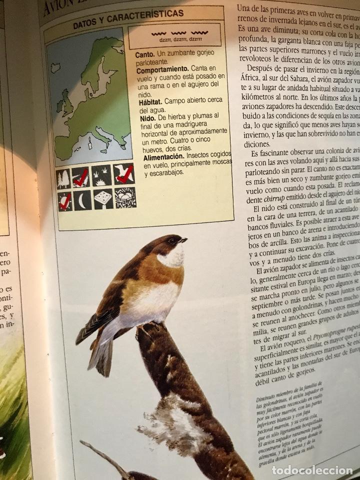Libros de segunda mano: AVES CANTORAS. COMO ATRAERLAS E IDENTIFICAR SU CANTO. - Foto 3