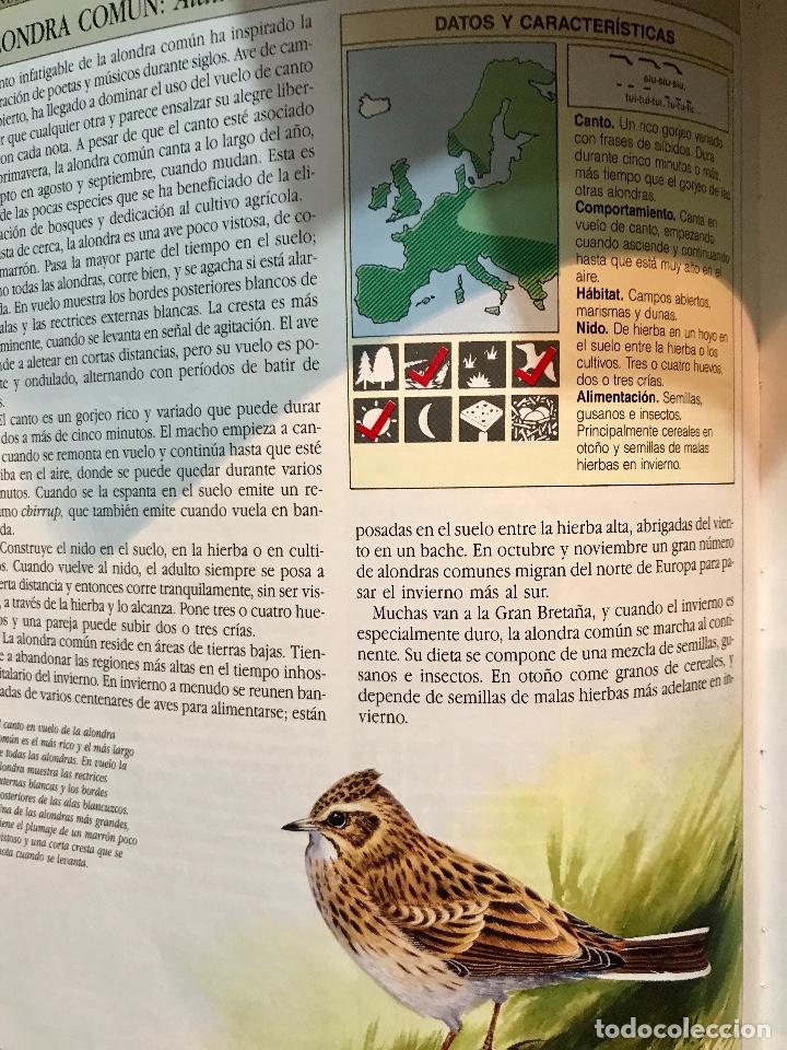 Libros de segunda mano: AVES CANTORAS. COMO ATRAERLAS E IDENTIFICAR SU CANTO. - Foto 4