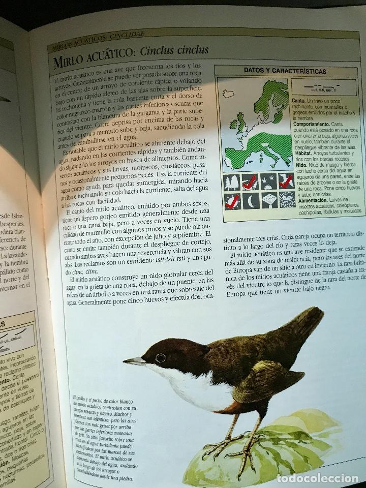 Libros de segunda mano: AVES CANTORAS. COMO ATRAERLAS E IDENTIFICAR SU CANTO. - Foto 5