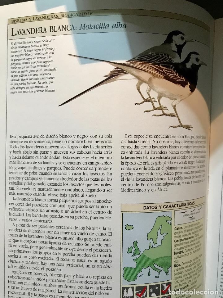 Libros de segunda mano: AVES CANTORAS. COMO ATRAERLAS E IDENTIFICAR SU CANTO. - Foto 6