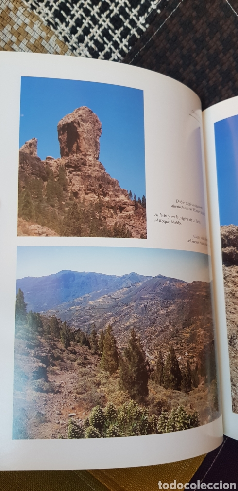 Libros de segunda mano: Libro GRAN CANARIA. Editorial Everest, 1998 - Foto 9
