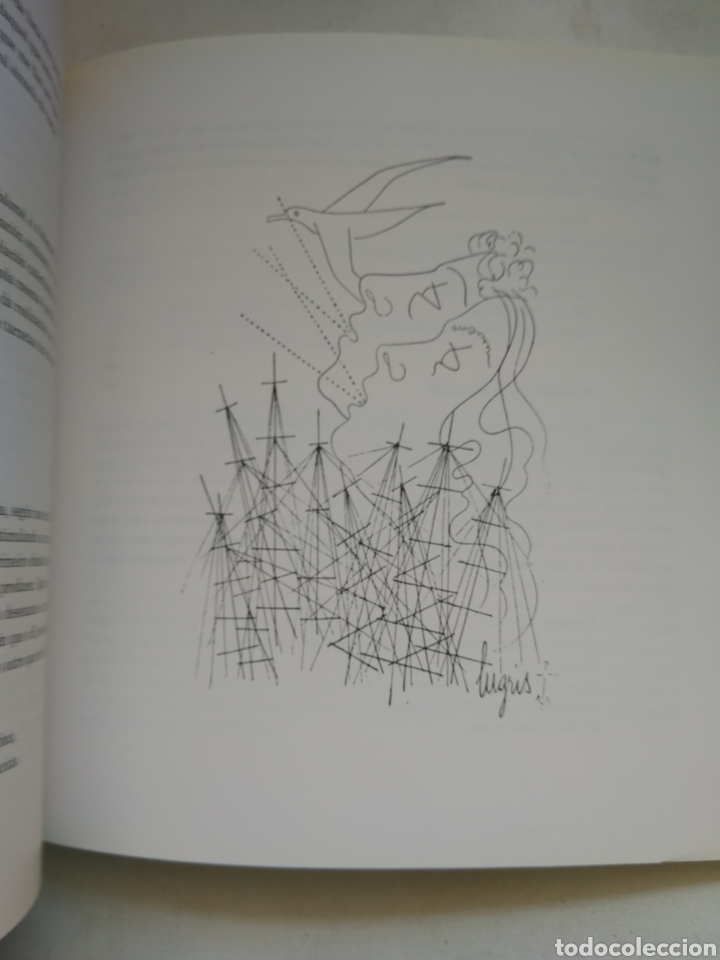 Libros de segunda mano: HOMENAXE A MIGUEL GONZ&Aacute;LEZ GARC&Eacute;S/DIPUTACI&Oacute;N DE LA CORU&Ntilde;A - Foto 6