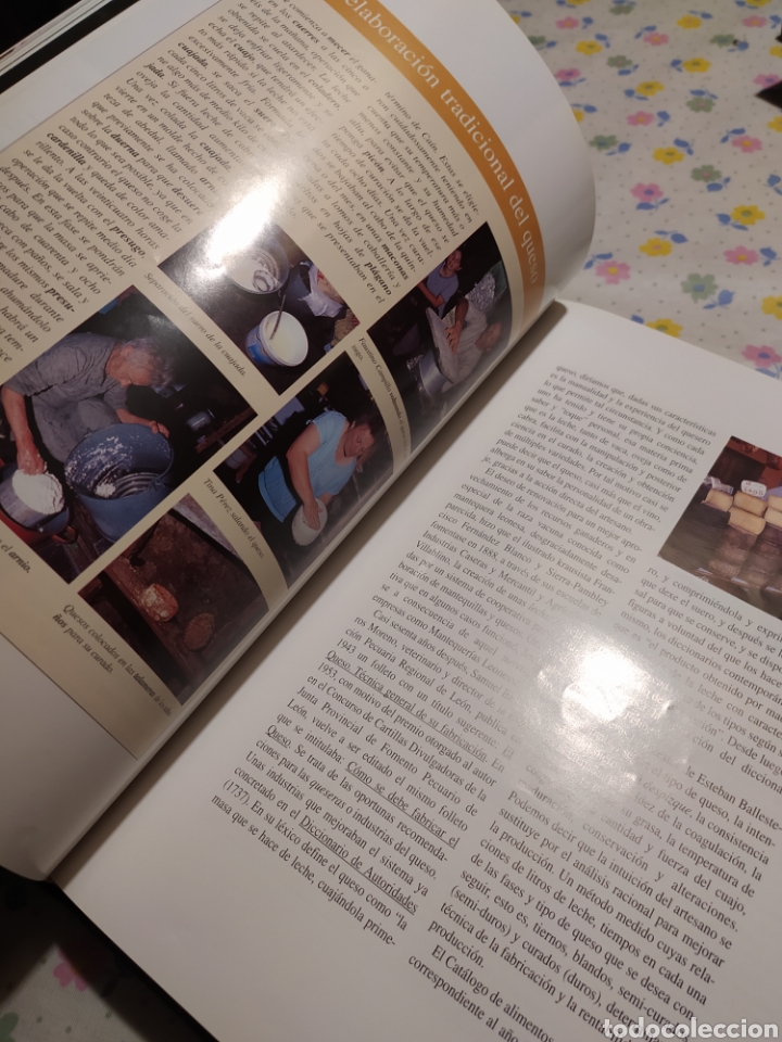 Libros de segunda mano: Oficios de Le&oacute;n. Joaqu&iacute;n Alonso. - Foto 2